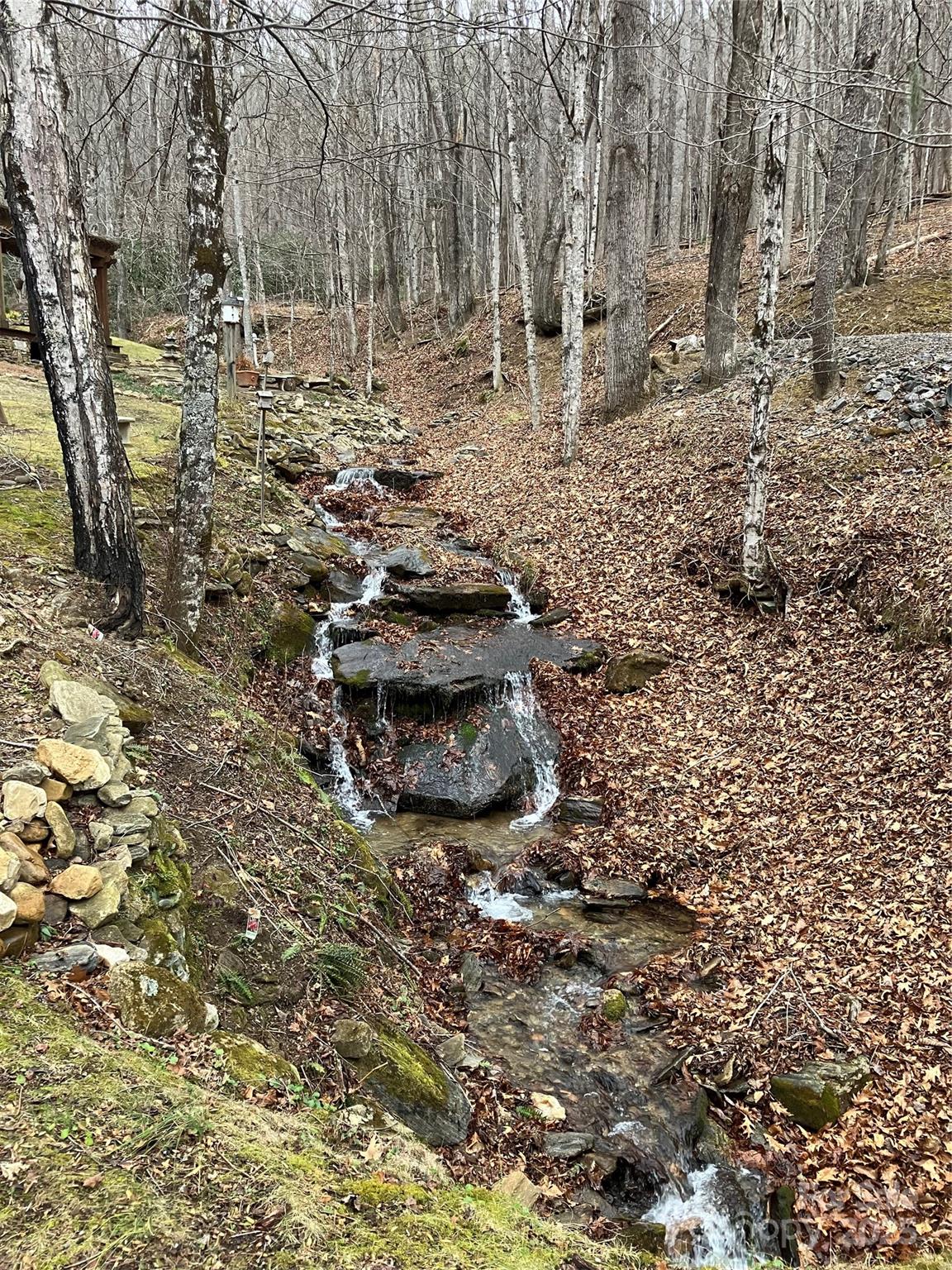 220 George Sutton Road Waynesville, NC 28785 - Photo 5 of 7