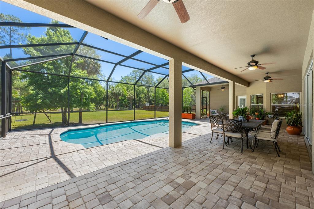 8224 Spring Forest Lane Wesley Chapel, FL 33544 - Photo 28 of 37