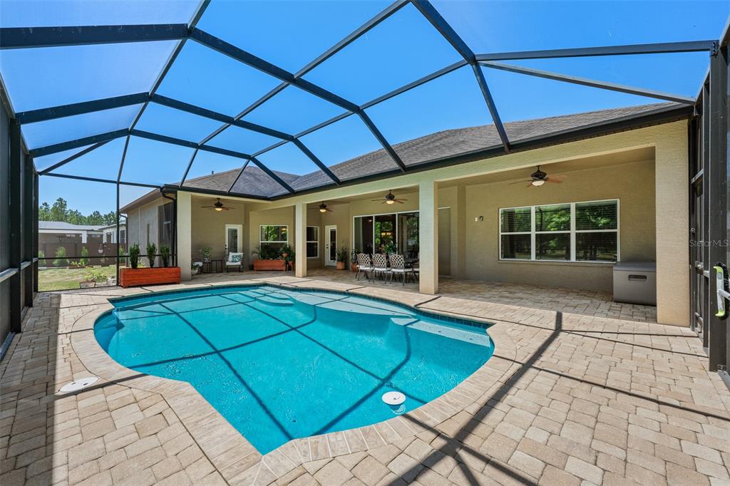 8224 Spring Forest Lane Wesley Chapel, FL 33544 - Photo 29 of 37