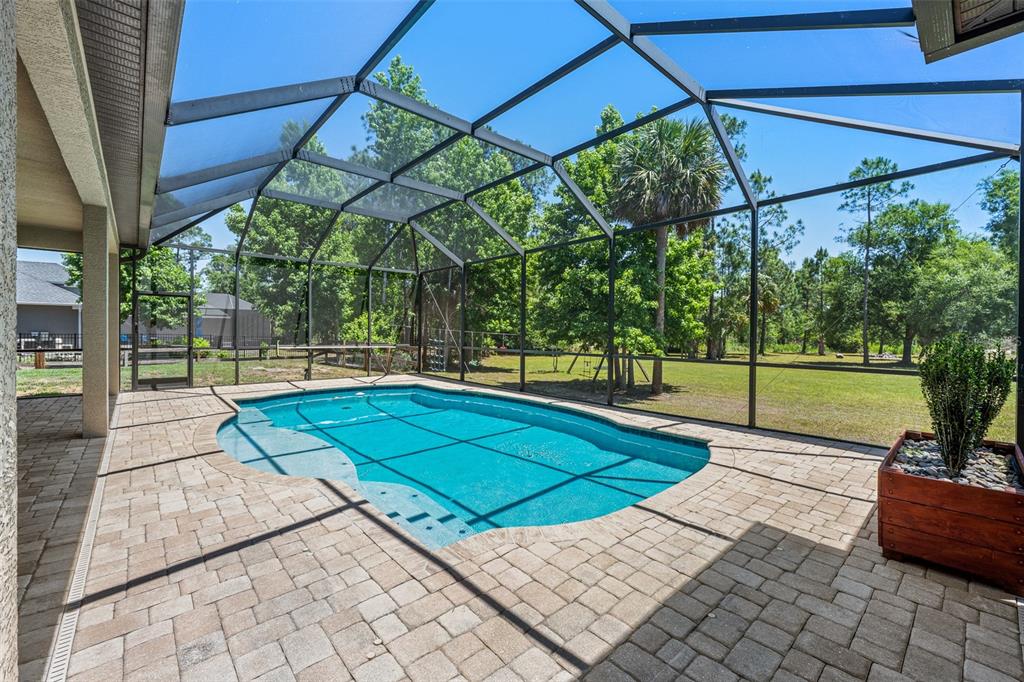 8224 Spring Forest Lane Wesley Chapel, FL 33544 - Photo 30 of 37
