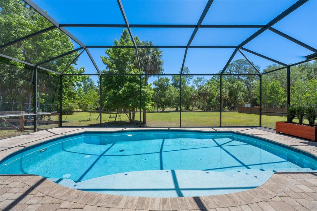 8224 Spring Forest Lane Wesley Chapel, FL 33544 - Photo 3 of 37