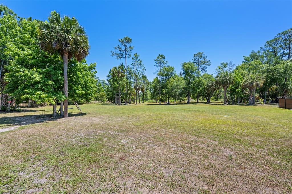 8224 Spring Forest Lane Wesley Chapel, FL 33544 - Photo 31 of 37