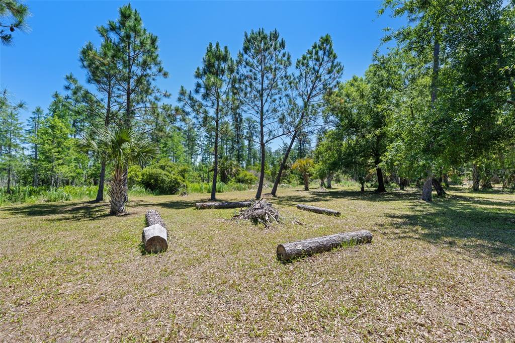 8224 Spring Forest Lane Wesley Chapel, FL 33544 - Photo 32 of 37