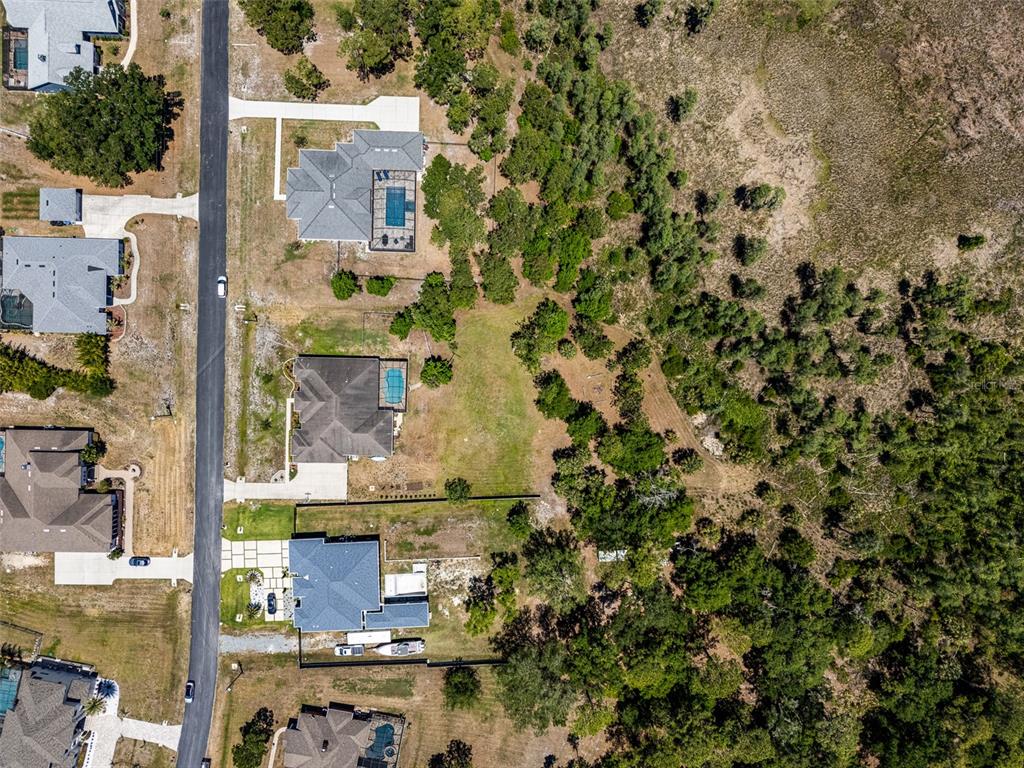 8224 Spring Forest Lane Wesley Chapel, FL 33544 - Photo 34 of 37