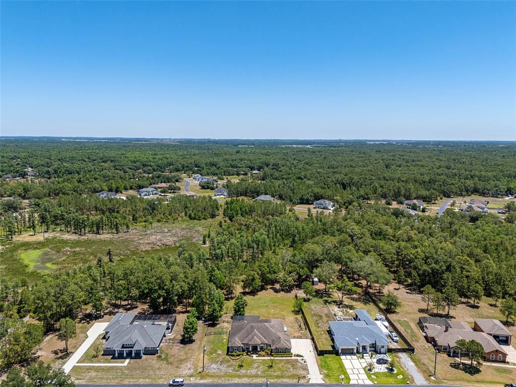 8224 Spring Forest Lane Wesley Chapel, FL 33544 - Photo 35 of 37