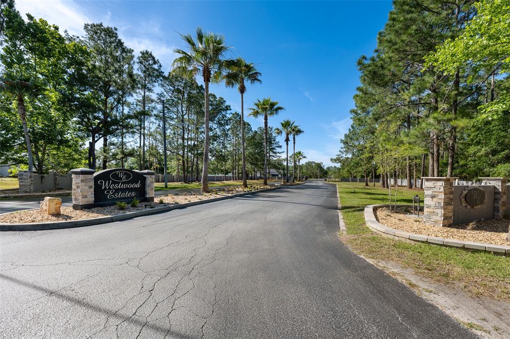 8224 Spring Forest Lane Wesley Chapel, FL 33544 - Photo 36 of 37