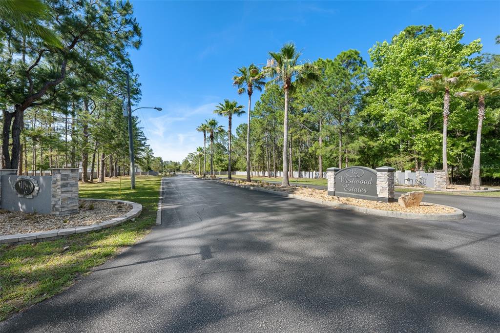 8224 Spring Forest Lane Wesley Chapel, FL 33544 - Photo 37 of 37