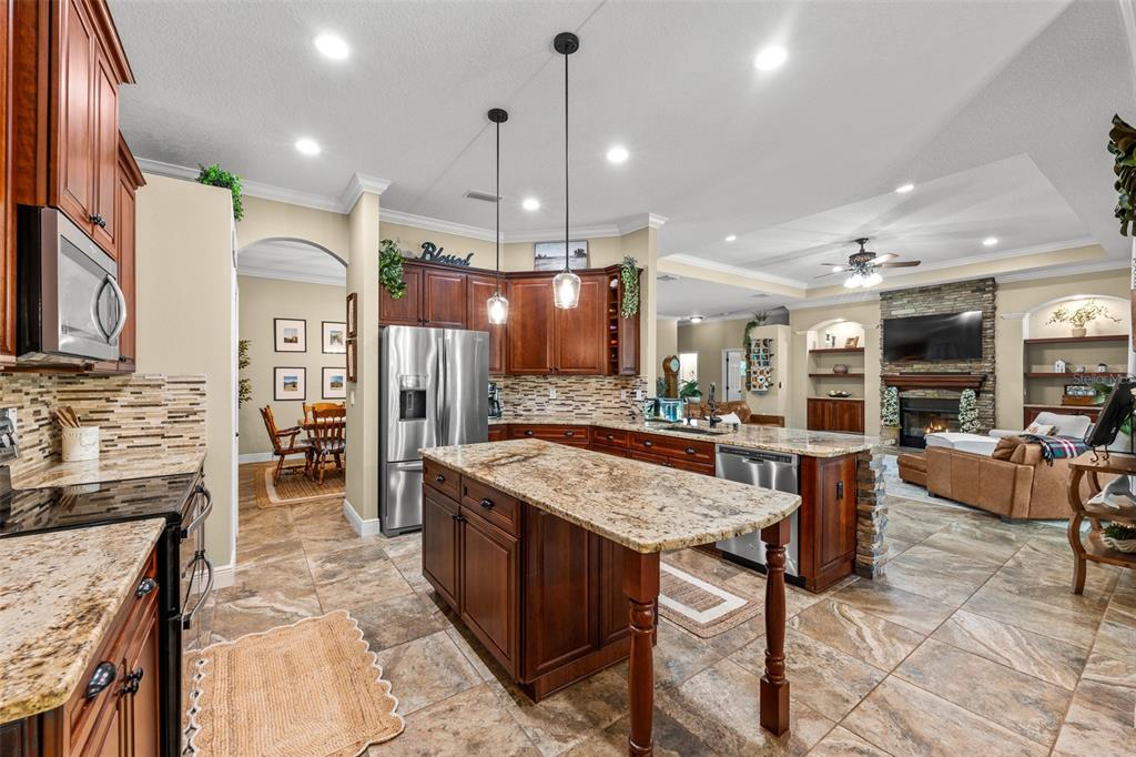 8224 Spring Forest Lane Wesley Chapel, FL 33544 - Photo 9 of 37