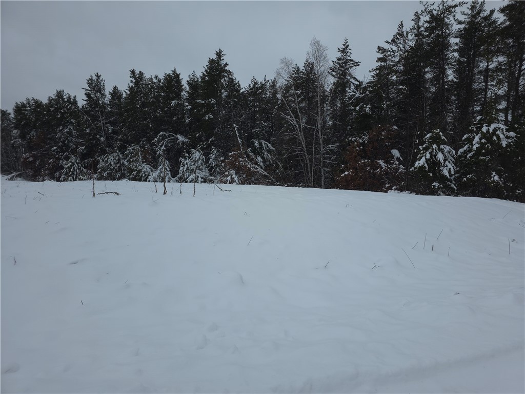 0 Liesch Road Trego, WI 54888 - Photo 17 of 27