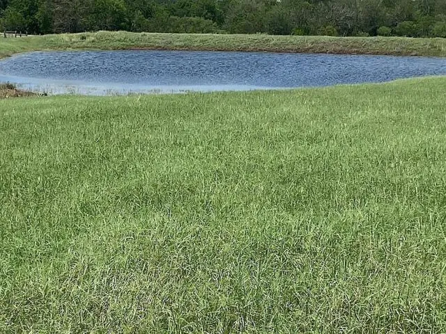 $650,000 | 2110 Immenhauser Road, Yoakum, TX 77995