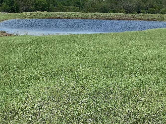 2110 Immenhauser Road Yoakum, TX 77995 - Photo 14 of 17