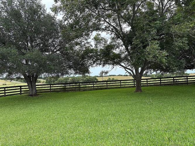 2110 Immenhauser Road Yoakum, TX 77995 - Photo 16 of 17