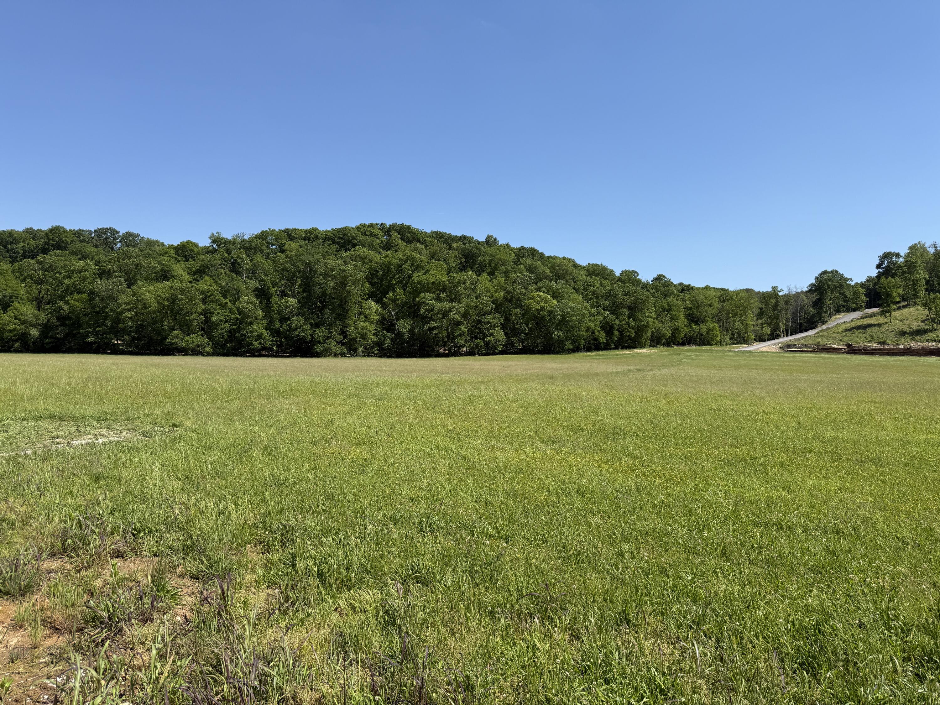 2 Riverpointe View Ozark, MO 65721 - Photo 5 of 19 IMG_3472