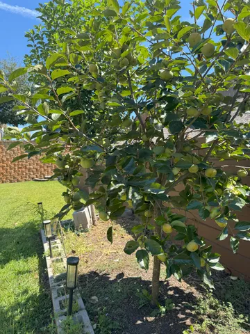 $567,000 | 549 Everton Drive, Chapin, SC 29036