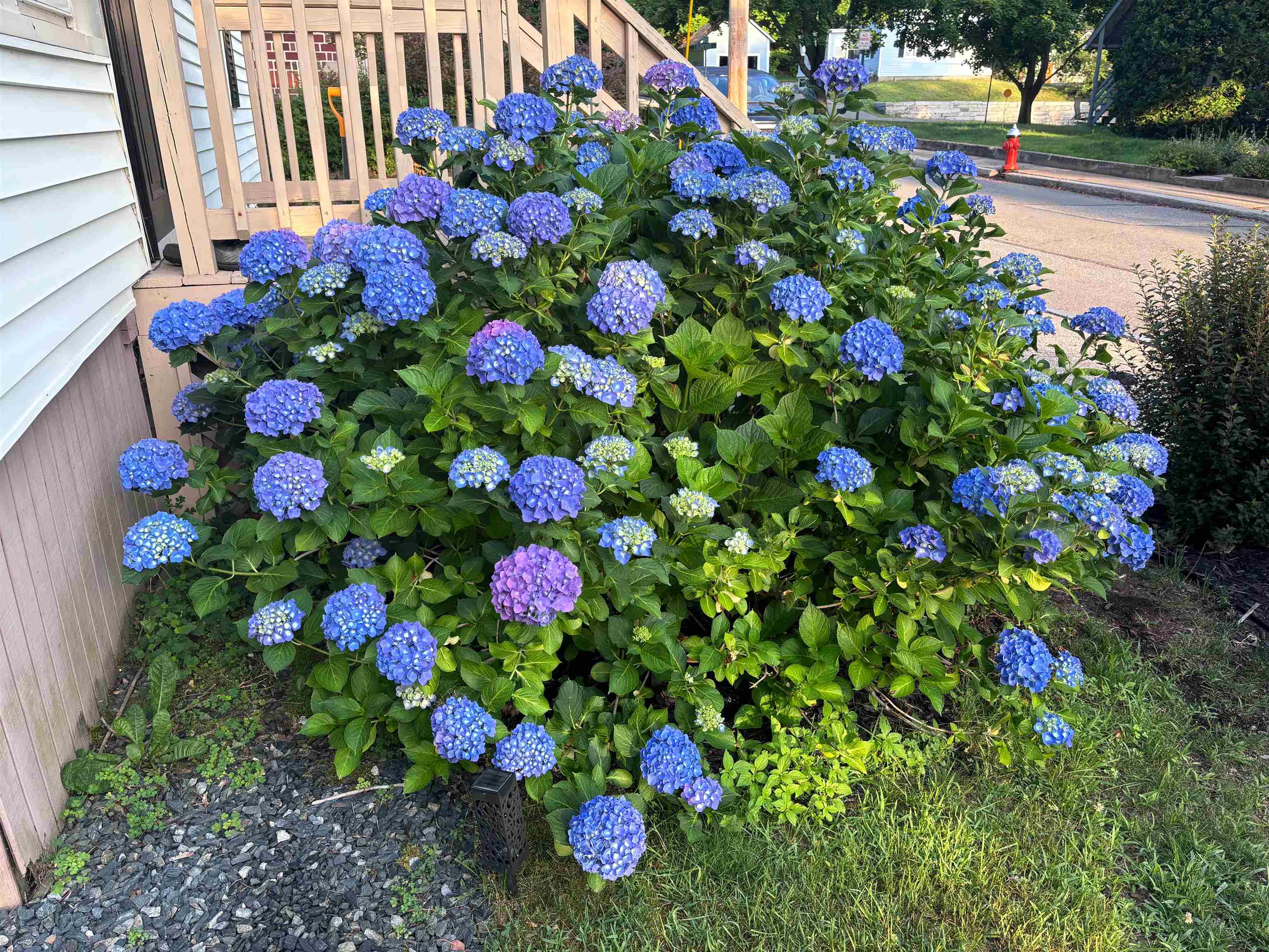 31 Highland Street Concord, NH 03301 - Photo 54 of 56 Gallery Image 54
