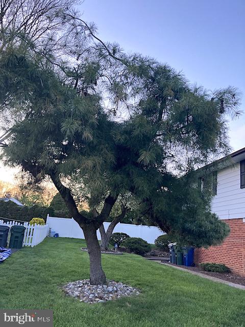 1180 Ballytore Road Huntingdon Valley, PA 19006 - Photo 30 of 32 Tree on side yard