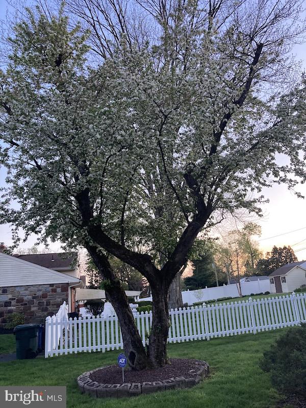 1180 Ballytore Road Huntingdon Valley, PA 19006 - Photo 31 of 32 Tree on side yard