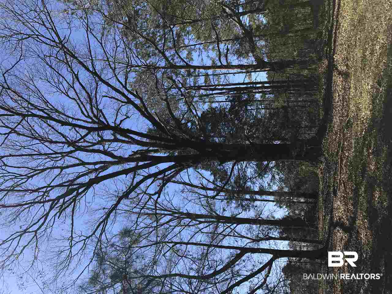 1478 Ridge Road Greenville, AL 36037 - Photo 44 of 50