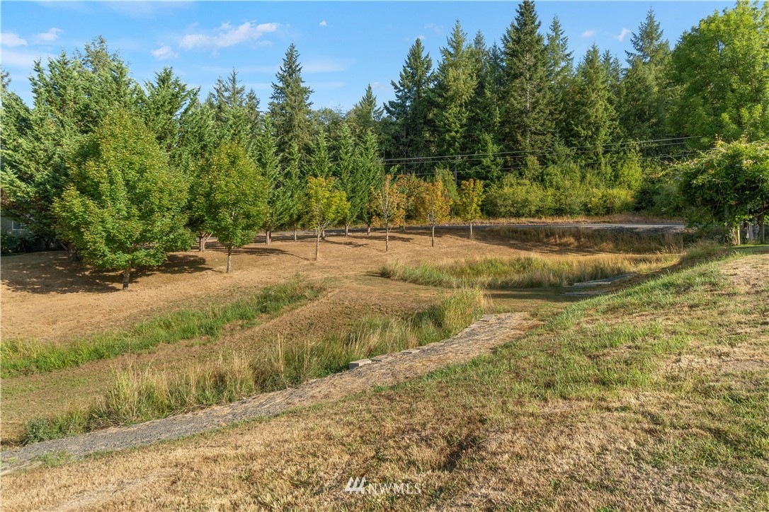 199 Jeffries Road Chehalis, WA 98532 - Photo 37 of 40 a view of a yard with trees