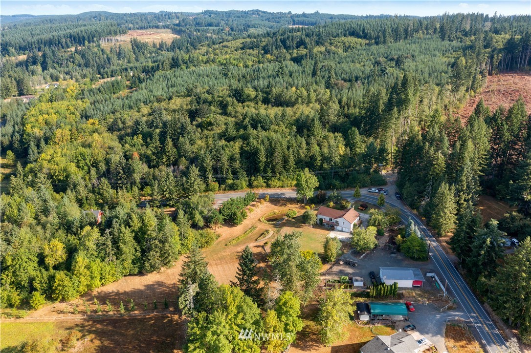 199 Jeffries Road Chehalis, WA 98532 - Photo 40 of 40 a view of a lush green field with lots of trees