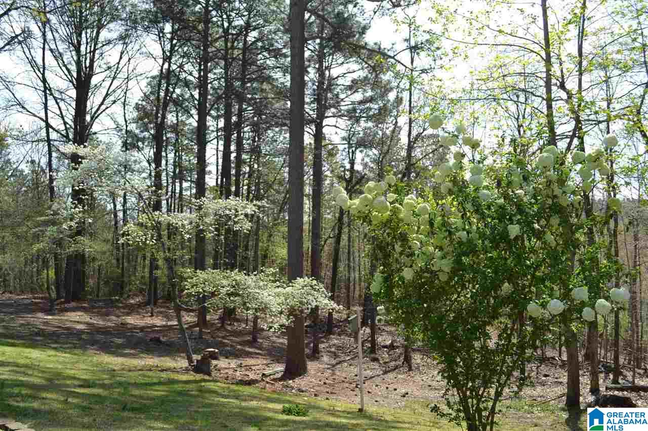 1400 McCay Road Locust Fork, AL 35097 - Photo 48 of 50
