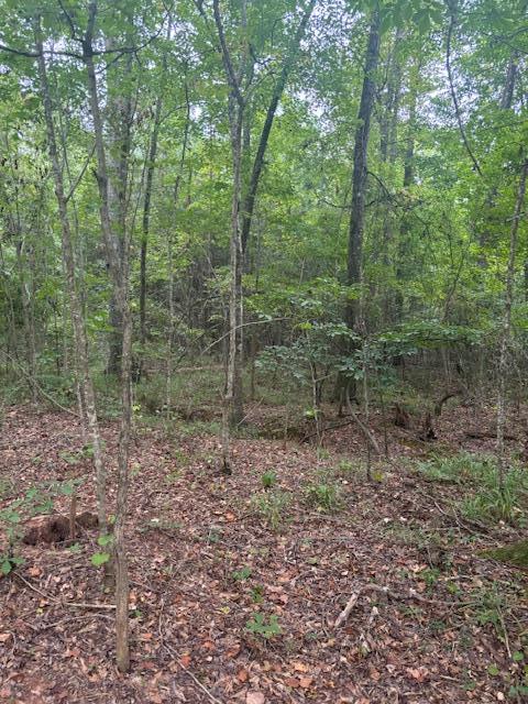 0 Twin Lakes Road Waverly Hall, GA 31831 - Photo 6 of 14 Gallery Image 6