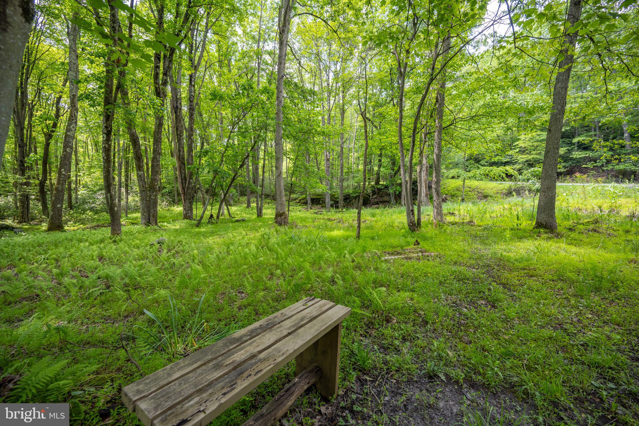 328 Stool Rock Road Oakland, MD 21550 - Photo 84 of 133