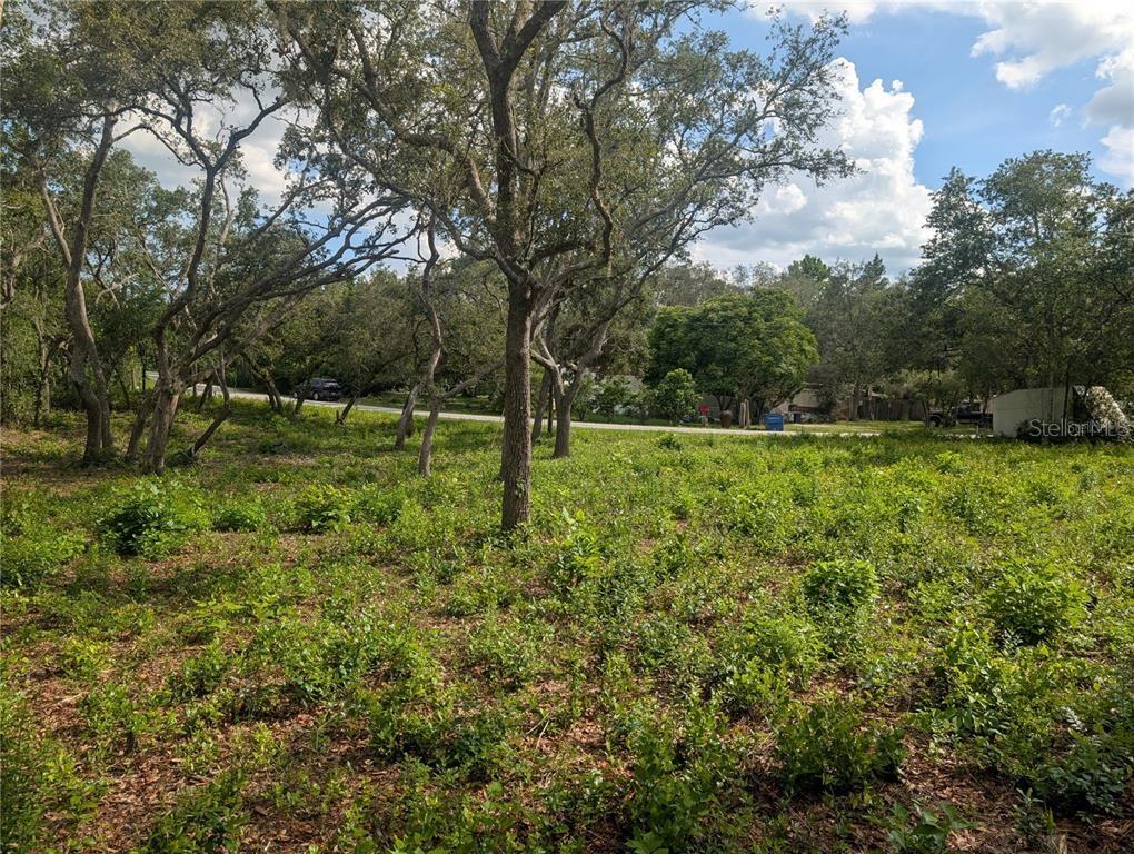 0 Merlin Circle Dade City, FL 33523 - Photo 3 of 8