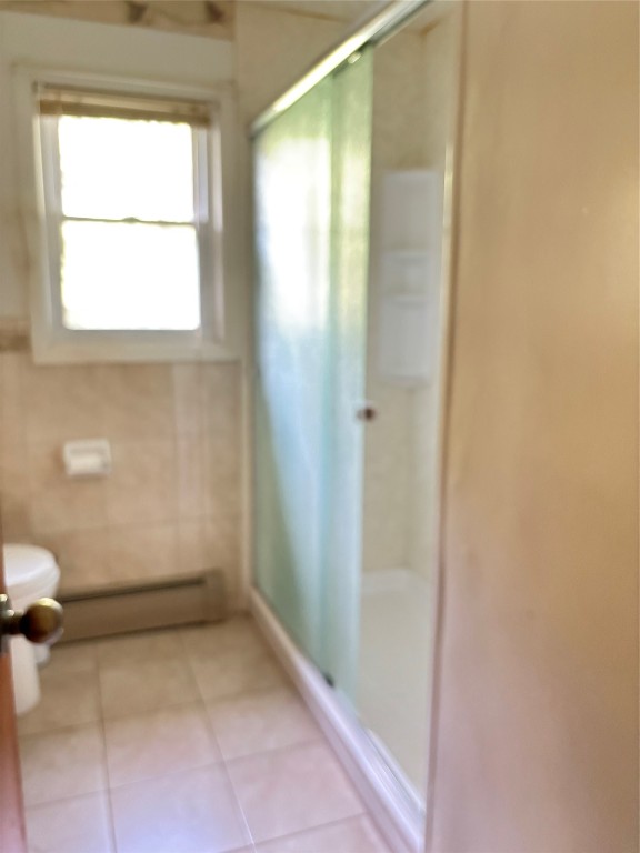 987 Lillie Hill Road Apalachin, NY 13732 - Photo 15 of 37