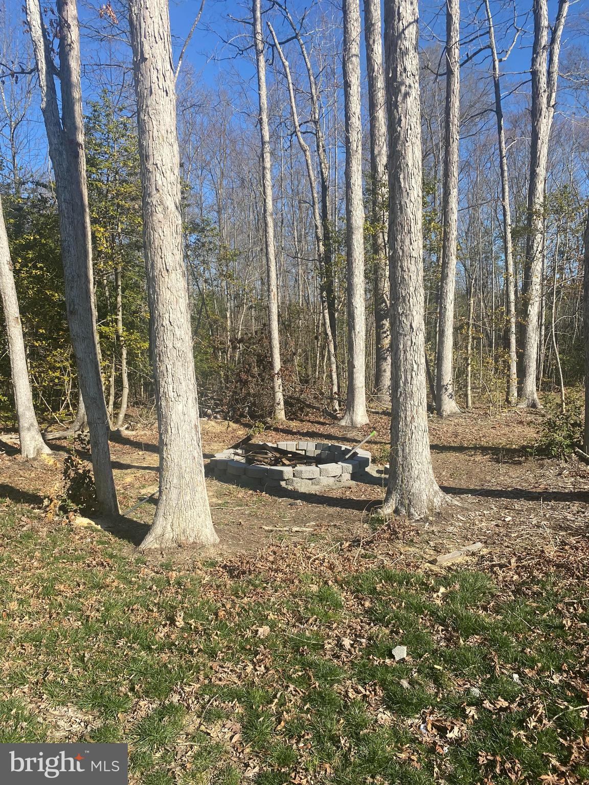 2928 Lewiston Road Bumpass, VA 23024 - Photo 4 of 32 Fire Pit