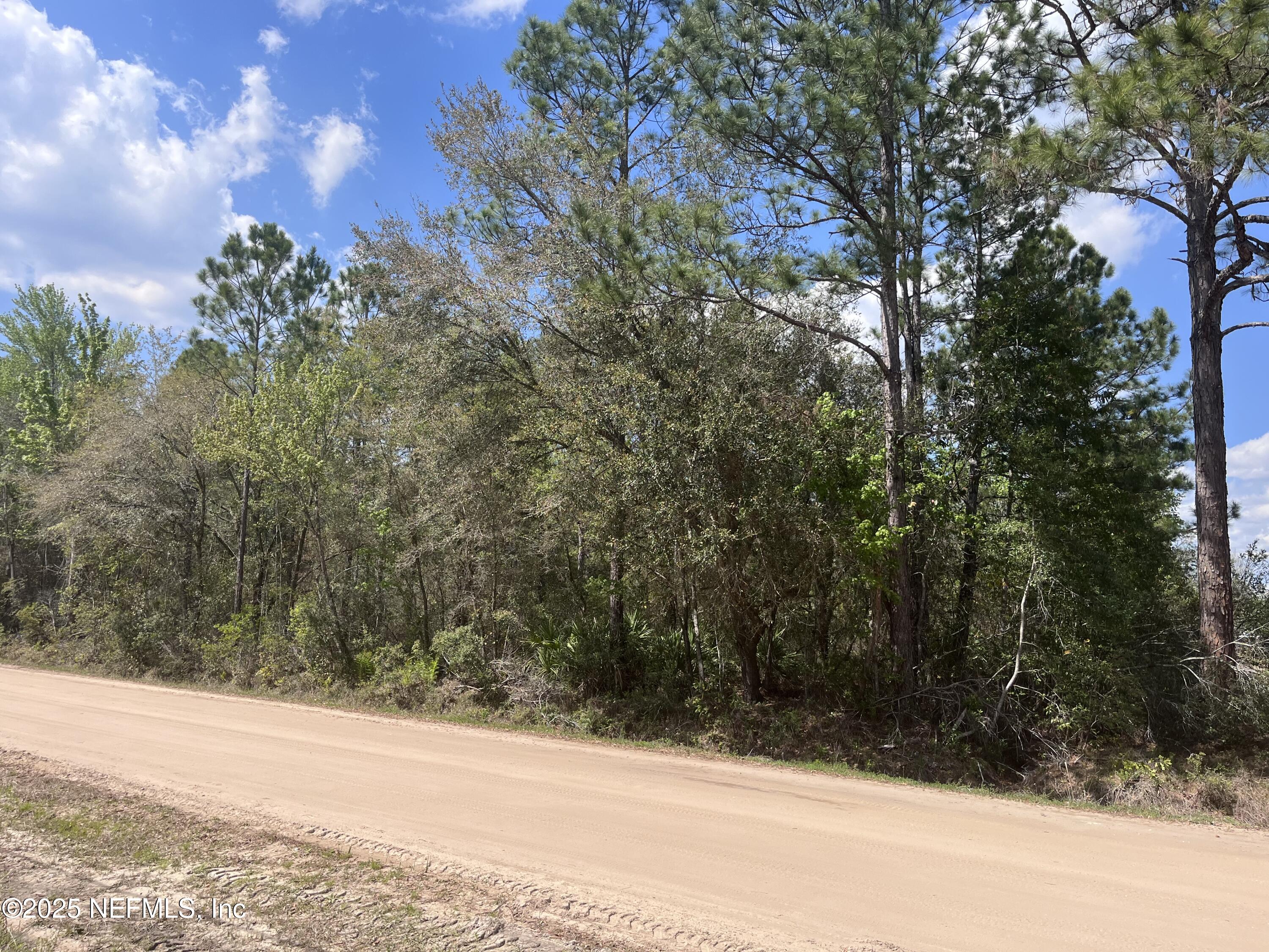5900 Trawick Road Keystone Heights, FL 32656 - Photo 1 of 10 Parcel Front