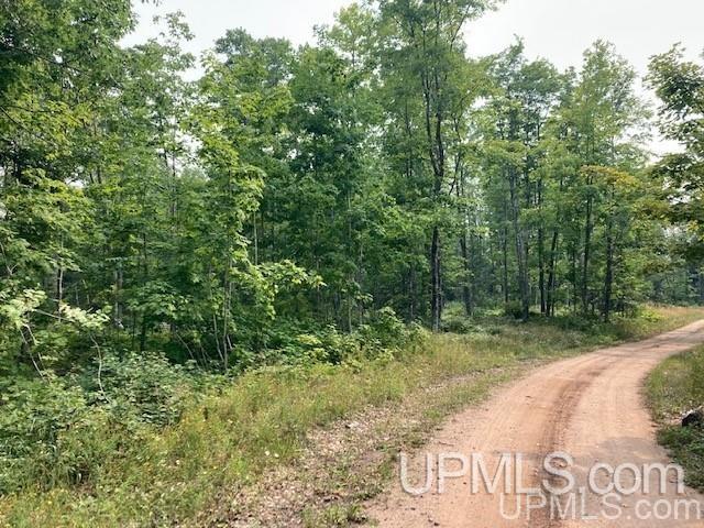 Tbd Old Mill Road Toivola, MI 49965 - Photo 2 of 25 Gallery Image 2