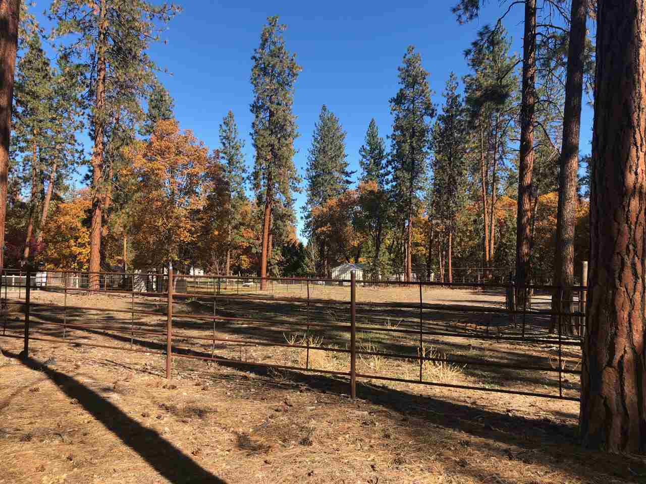830 Dewitt Park Road Yreka, CA 96097 - Photo 18 of 25 Gallery Image 18