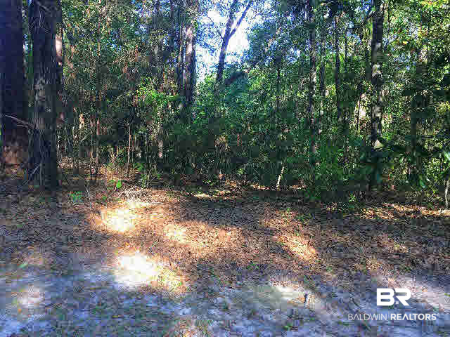 0 West Springhill Woods Drive West Mobile, AL 36608 - Photo 3 of 6