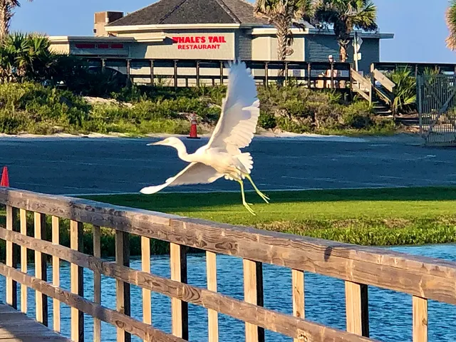 a sign on the side of a building