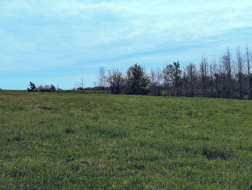 624 Cary Shop Road Burkeville, VA 23922 - Photo 2 of 5 Gallery Image 2