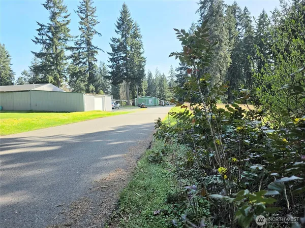 a view of a yard with trees