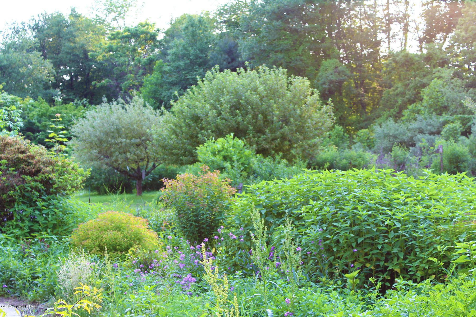 5208 Neola Road Stroudsburg, PA 18360 - Photo 4 of 56 Gardens Abound/Multiple Plant Varieties