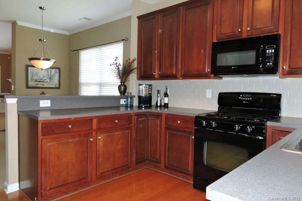 293 Sand Paver Way Fort Mill, SC 29708 - Photo 11 of 19