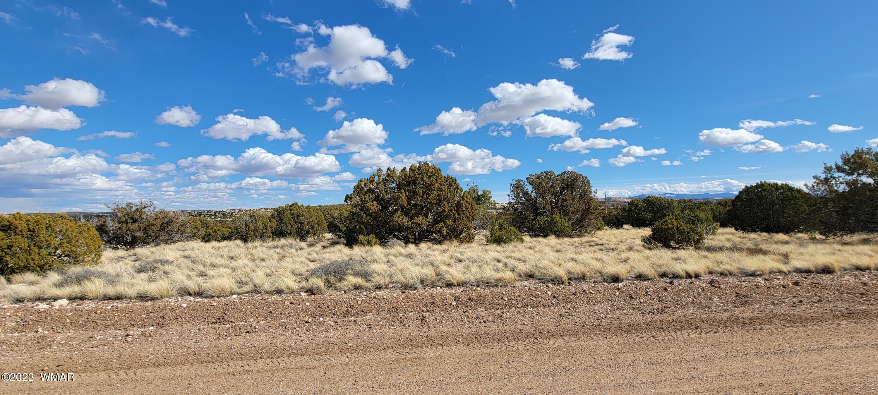 56 County Road Concho, AZ 85924 - Photo 6 of 7 20230312_150254