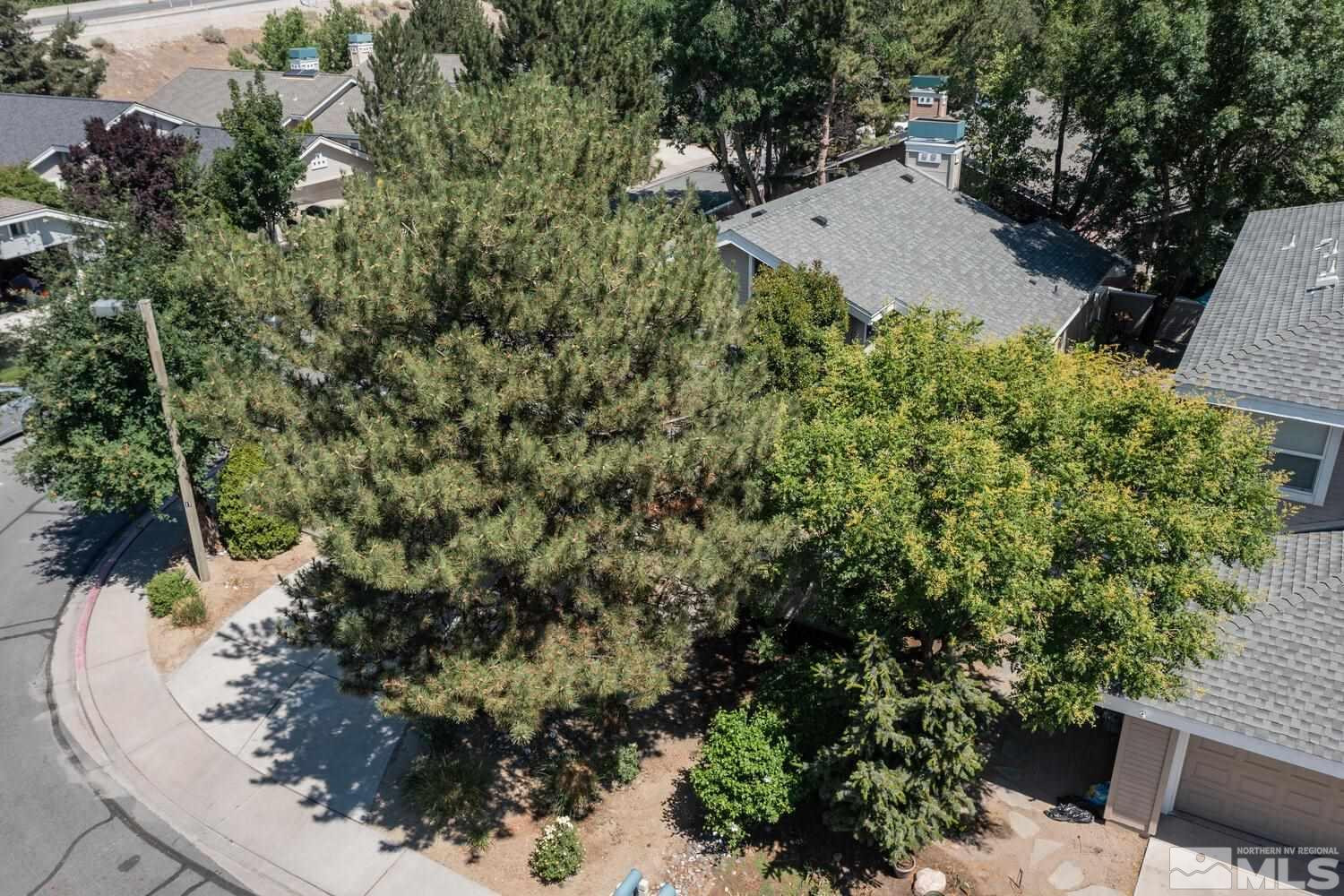 3335 Spring Creek Circle Reno, NV 89509 - Photo 30 of 30 a view of a backyard