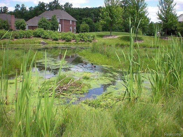 47630 Pavillon Road Canton, MI 48188 - Photo 24 of 25 Pond