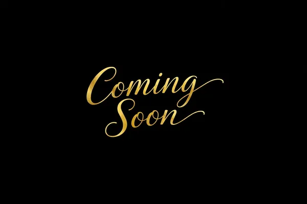 $350,000 | 10108 Kilpatrick Avenue, Oak Lawn, IL 60453