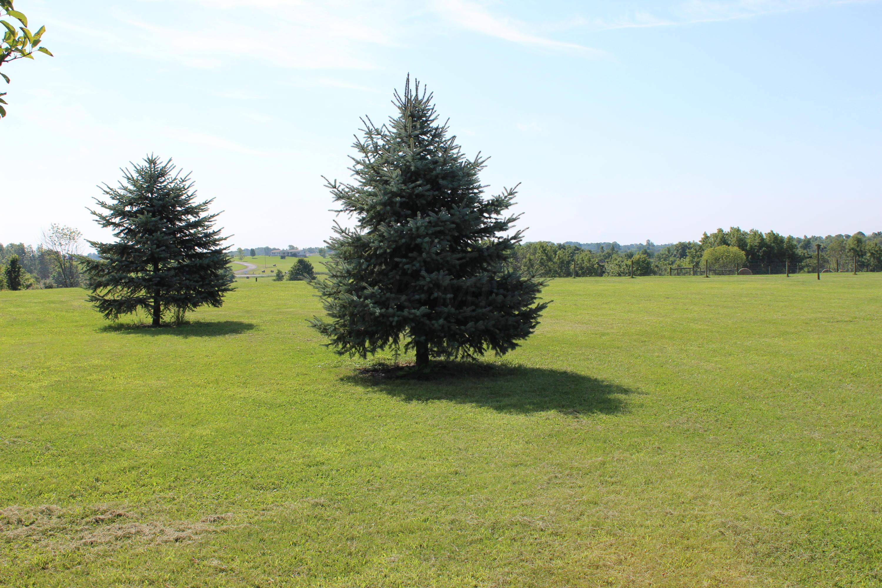 44201 Hanover Ridge Road Jewett, OH 43986 - Photo 57 of 71