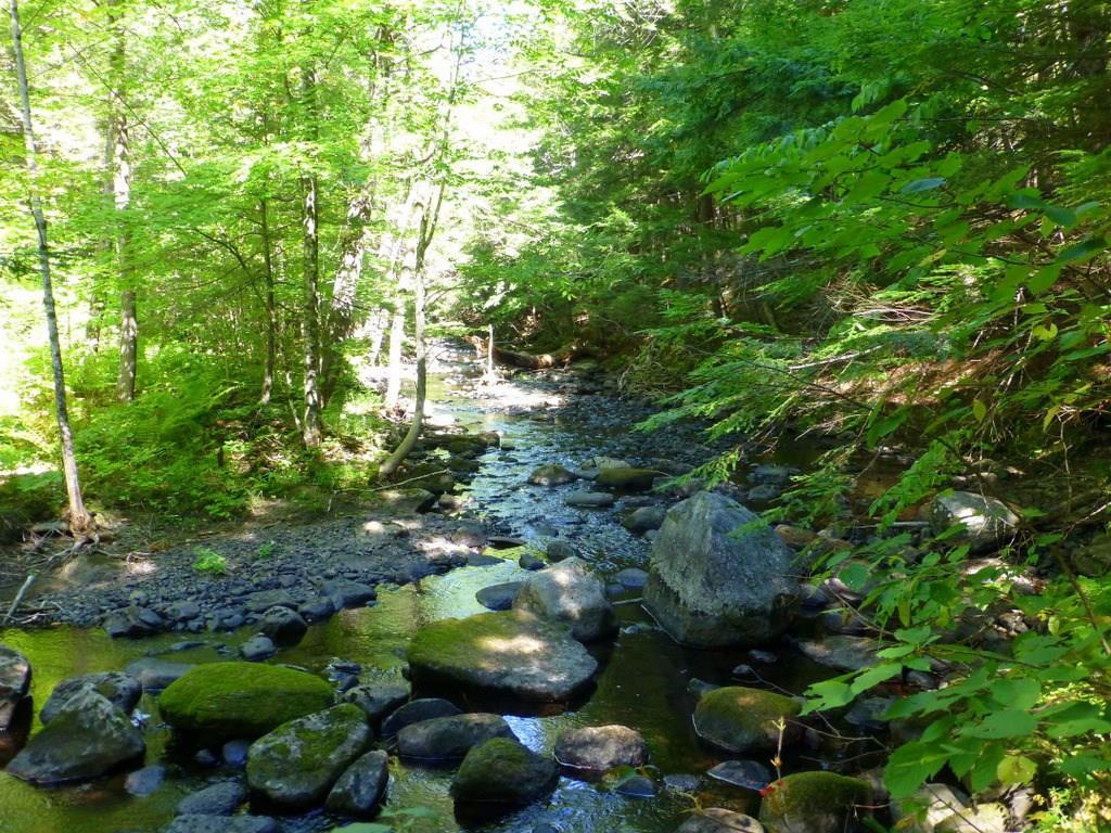 Tbd Crystal Vale Road New Sharon, ME 04955 - Photo 5 of 15 Photo