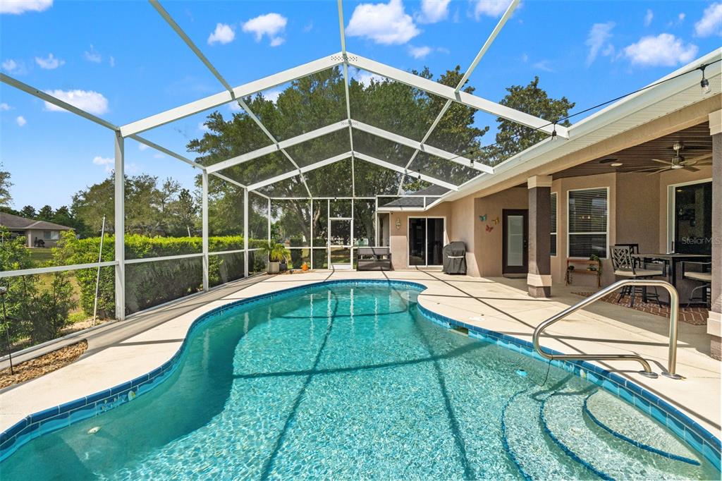 10327 Velvetseed Circle Spring Hill, FL 34608 - Photo 46 of 60