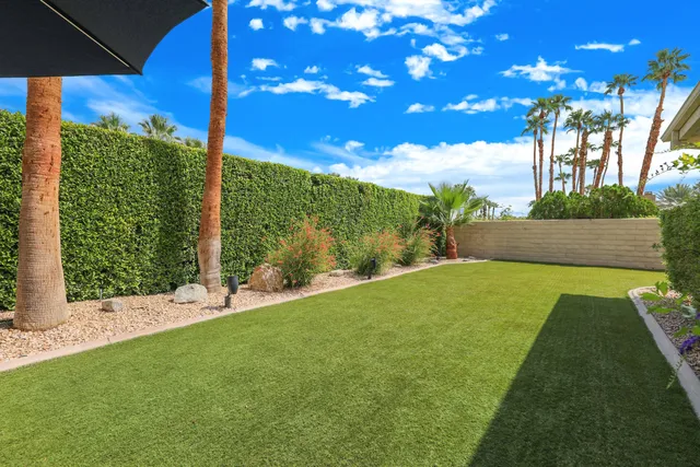 a view of a field with an tree in front of it