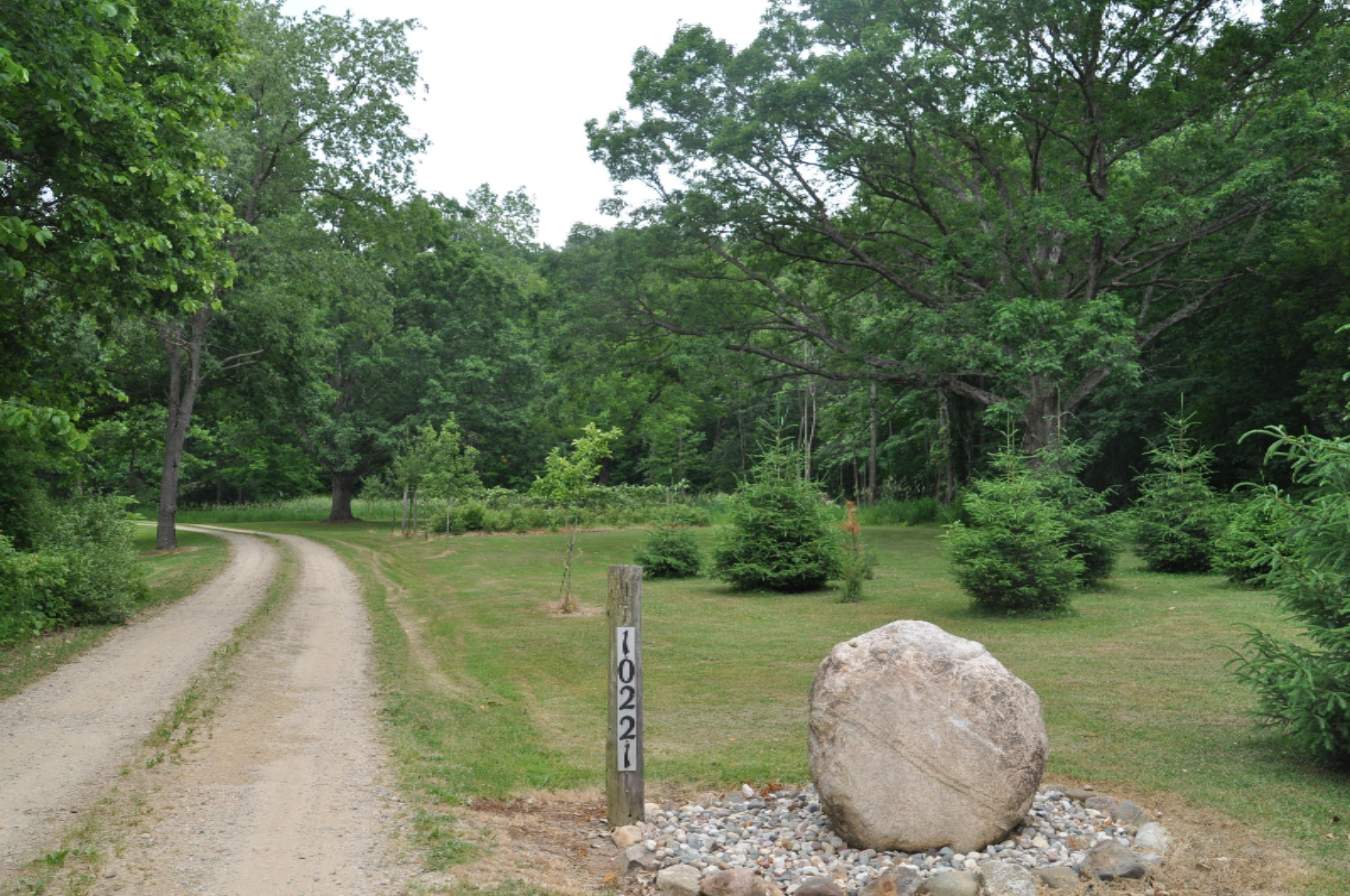 10221 Okemos Road Portland, MI 48875 - Photo 2 of 56 DSC_0001