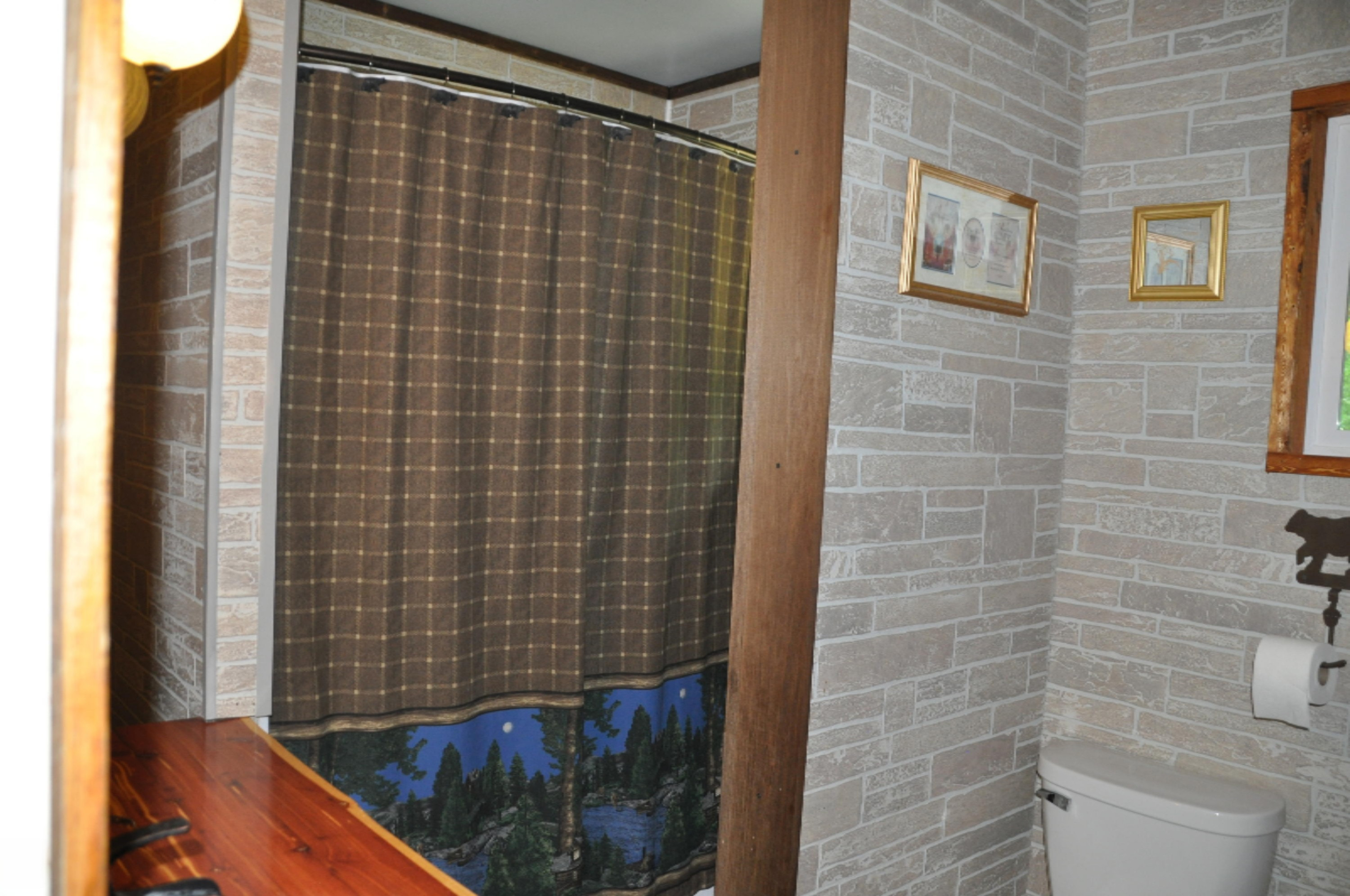 10221 Okemos Road Portland, MI 48875 - Photo 26 of 56 DSC_0027