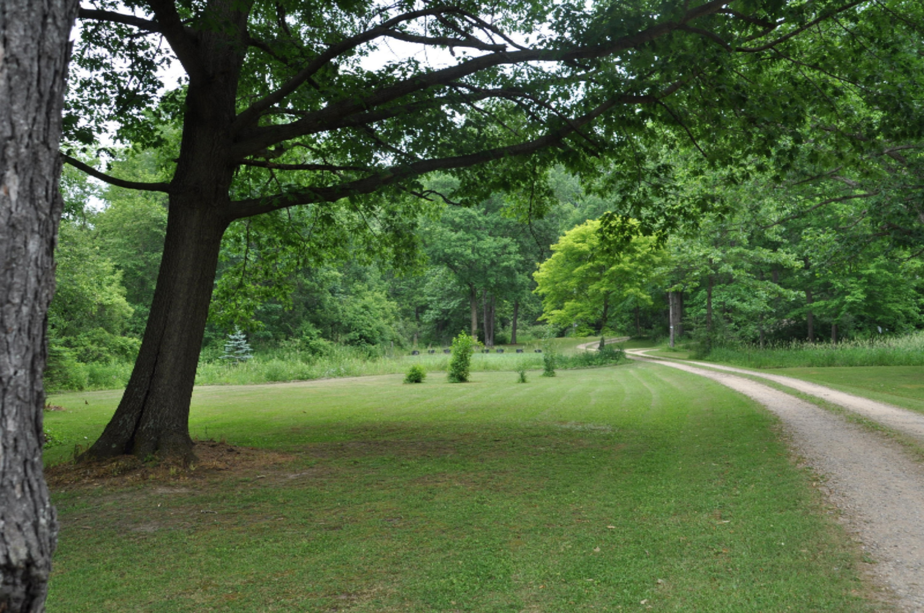 10221 Okemos Road Portland, MI 48875 - Photo 3 of 56 DSC_0002